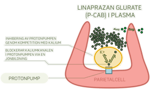 Cinclus P CAB In Plasma Sv